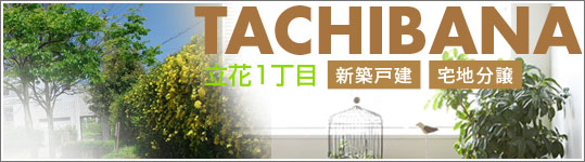 立花町1丁目新築戸建