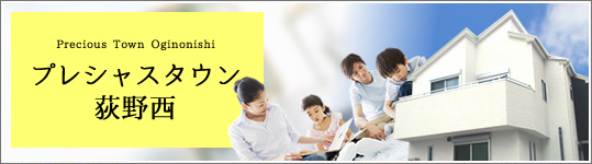 プレシャスタウン荻野西